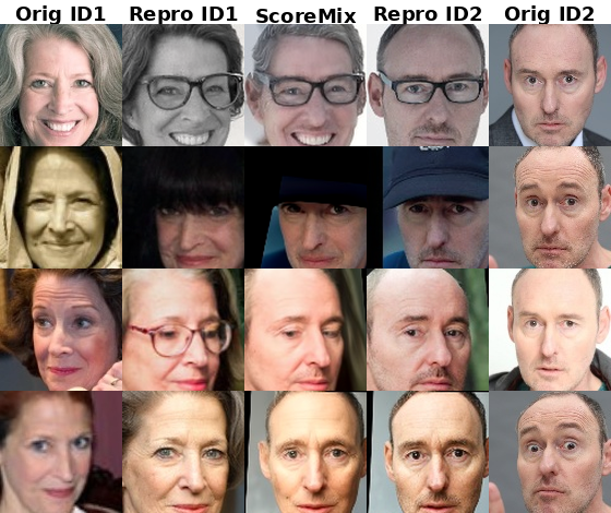 ScoreMix augmentations composed from two source identities